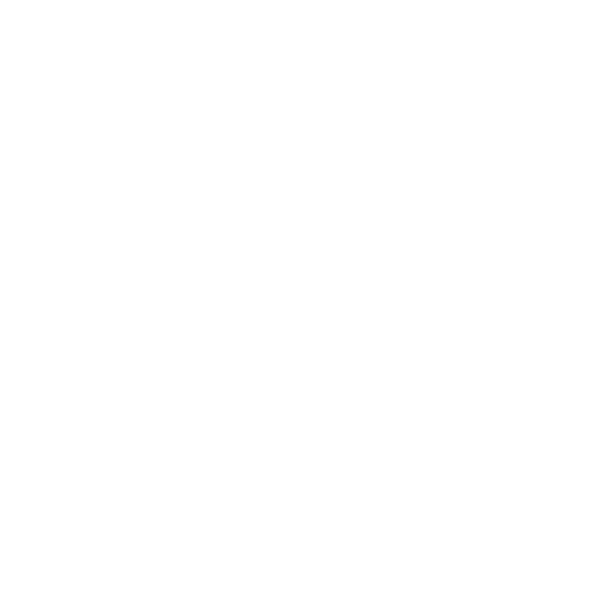 شبکه پویا